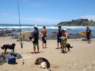 Swell Eco Lodge - Lutsheni - 6