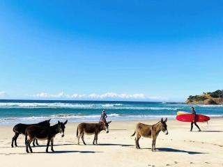 Swell Eco Lodge - Lutsheni - 1