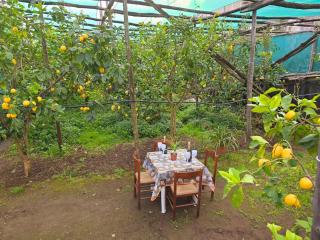 The house in the green - Piano di Sorrento - 0