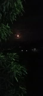Kandy IVY Mountain View Resort - 8