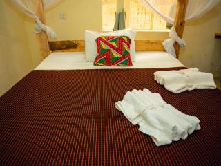 Nyota Safari Lodge - Moshi - 3