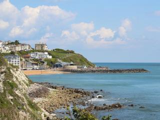 Trinity Bee - Ventnor - 4