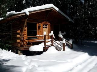 Rustic Woodland Log Cabin with Wood-Burning Stove in Nevada City, California - - 0