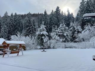 Cabana Izvorul Căprioarei - Apaţa - 8