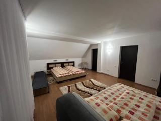 Cabana Izvorul Căprioarei - Apaţa - 6