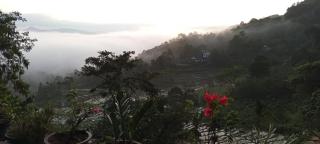 Kandy IVY Mountain View Resort - 2