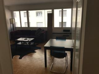 EUROVISION! Spacious 3 bedroom apartment, great location, 30 min to Eurovision - Basilea - 0