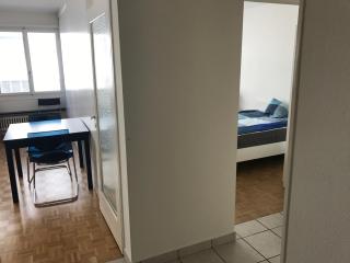 EUROVISION! Spacious 3 bedroom apartment, great location, 30 min to Eurovision - Basilea - 8