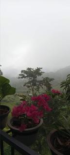 Kandy IVY Mountain View Resort - Kandy - 7