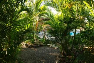 Le Jardin d'Antoinette - Rivière Noire - 3