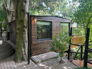 The Cabins at Phantom Acres - 7