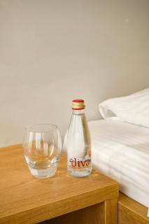 Hotel Bela Roza - 8