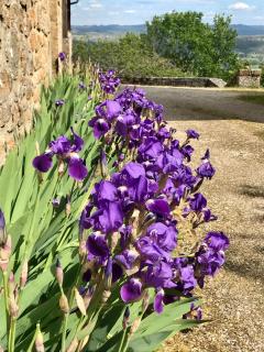 Manoir de Rieuzal - 8