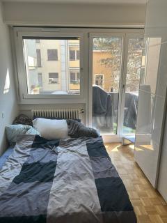 EUROVISION! Spacious 3 bedroom apartment, great location, 30 min to Eurovision - Basilea - 2