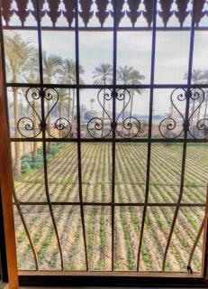 Alf Layla Resort - Il Cairo - 9