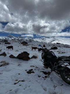 Casa a la Vera de la Sierra - 8