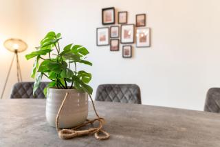 Beautiful renovated apartment in an authentic building - Ostenda - 4