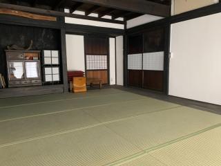 duckweed - Vacation STAY 52571v - Tone - 9