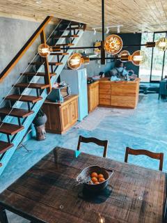 Into The Wild Cabin - 1