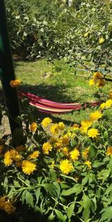 Green Yard - Haghpat - 1