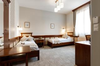 Hotel Kardosfa - Zselickisfalud - 6