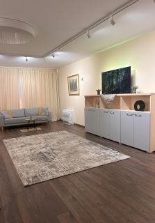 Zlati`s house - Sofia - 3