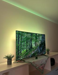 Zlati`s house - Sofia - 1