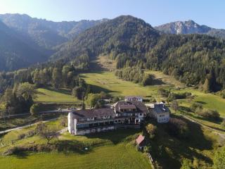 Hotel Baumgartnerhof - Altfinkenstein - 9