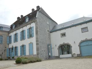 Luxurious castle in Marchin with infrared sauna - Tharoul - 1
