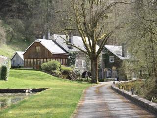 Magnificent Manor in Vresse-Sur-Semois with Sauna - Vresse-sur-Semois - 7