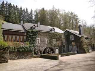 Magnificent Manor in Vresse-Sur-Semois with Sauna - Vresse-sur-Semois - 6