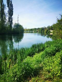 Bel Appt Centre, Marais, rando - Niort - 7