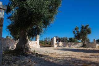 Trullo Padronale - Ostuni - 3