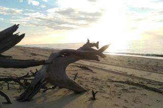 WildWoof Beach Bungalow - 3 Blocks to Beach - North Wildwood - 2