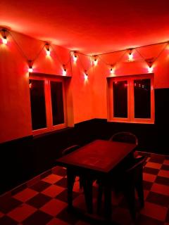 Blooming nights with Begonia - Kodaikanal - 2