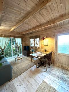 New Charming Scandinavian eco house with garden and jacuzzi - Vijfhuizen - 6