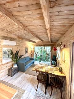 New Charming Scandinavian eco house with garden and jacuzzi - Vijfhuizen - 8