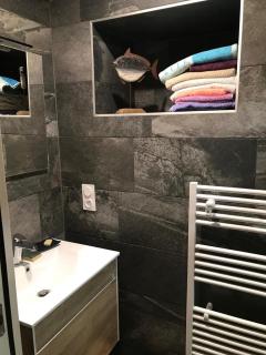 Beautiful ground floor opening onto private pool - Lancieux - 2