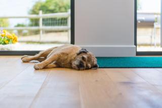 Rabbit Hole by Keepers Cottages -  - 2