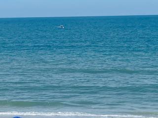 2 bedroom garden city ocean front - Myrtle Beach - 6