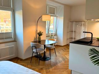 Isaak Apartment Löwenbau E2-W05 - Waldshut-Tiengen - 4
