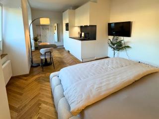 Isaak Apartment Löwenbau E2-W05 - Waldshut-Tiengen - 5
