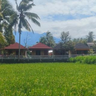 Arif Bungalows Lombok - Tetebatu - 3