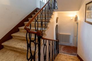 Villa Vignano - Exotic Villa Among Olive Trees - Siena - 9