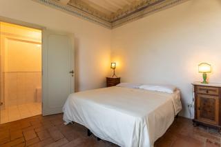 Villa Vignano - Exotic Villa Among Olive Trees - Siena - 3