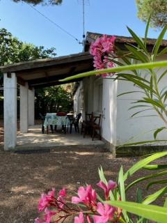 Maison 6 personnes sur grand terrain 100 m plage - V0261 - Vias - 0