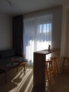 Luxury Suite - Baia Mare - 1