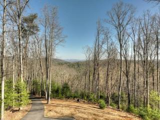 Yogi's Escape - Blue Ridge - 7