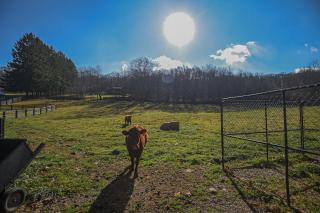 Couples Retreat - The HayLoft- Rustic Escape For 2 - Oakland - 8