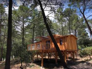 Cabane 3 étoiles - Piscine - eehchh - Bollène - 0